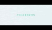 冬天哈士奇会掉毛吗