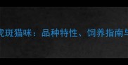 黑白猫咪vs虎斑猫咪品种特性饲养指南与选购建议全