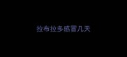 拉布拉多感冒几天