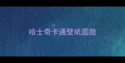 哈士奇卡通壁纸圆脸