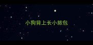 小狗背上长小脓包