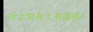 哈士奇身上有温疹