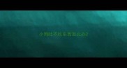 小狗吐不吃东西怎么办