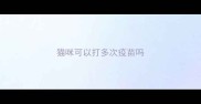 猫咪可以打多次疫苗吗