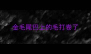 金毛尾巴上的毛打卷了