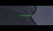 拉布拉多流涕红点