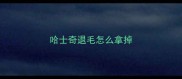 哈士奇退毛怎么拿掉