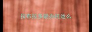 拉布拉多能办托运么