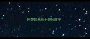 刚带回来哈士奇拉肚子