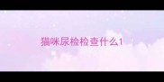 猫咪尿检检查什么