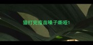 猫打完疫苗嗓子嘶哑