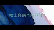 哈士奇绝育好不好