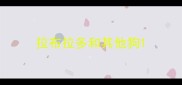 拉布拉多和其他狗