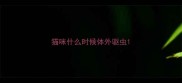 猫咪什么时候体外驱虫