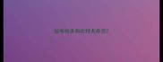 拉布拉多和比特犬杂交