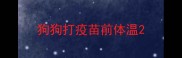 狗狗打疫苗前体温