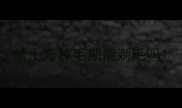 哈士奇掉毛期能剃毛吗