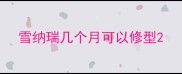 雪纳瑞几个月可以修型