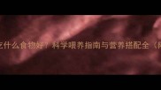 哈士奇吃什么食物好科学喂养指南与营养搭配全附食谱