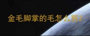 金毛脚掌的毛怎么剪