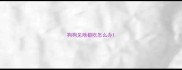 狗狗见啥都吃怎么办