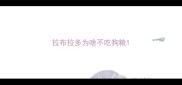 拉布拉多为啥不吃狗粮