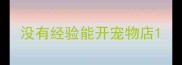 没有经验能开宠物店