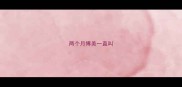 两个月博美一直叫