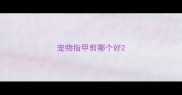 宠物指甲剪哪个好