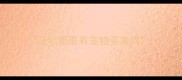 深圳哪里有宠物买卖网
