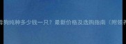哈士奇母狗纯种多少钱一只最新价格及选购指南附领养信息
