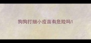 狗狗打细小疫苗有危险吗