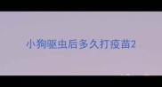 小狗驱虫后多久打疫苗