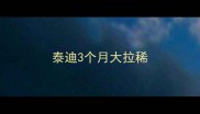 泰迪3个月大拉稀