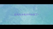 拉布拉多每天叫快疯了