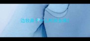 边牧鼻子什么时间全黑