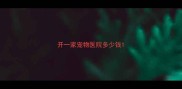 开一家宠物医院多少钱