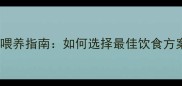 幼犬金毛科学喂养指南如何选择最佳饮食方案及营养误区