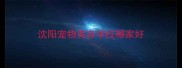 沈阳宠物美容学校哪家好