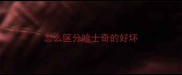 怎么区分哈士奇的好坏