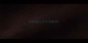 吉娃娃公几个月能用