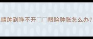 救命拉布拉多眼睛肿到睁不开眼睑肿胀怎么办附专业护理指南