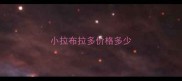 小拉布拉多价格多少
