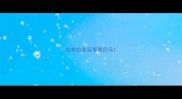 拉布拉多冠军奥巴马