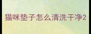 猫咪垫子怎么清洗干净