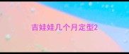 吉娃娃几个月定型