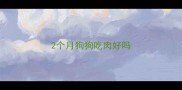 2个月狗狗吃肉好吗