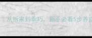 边牧训练全攻略从拆家到乖巧新手必看5步养成教科书级边牧
