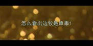 怎么看出边牧是串串