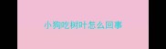 小狗吃树叶怎么回事